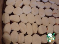 ����� "�����" �����������