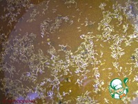 ������������ ���������� ������ �����-������� �����������