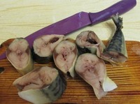 ������������ �������� �� ��� �����������