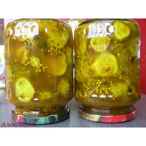 ������������ ���������� ������ �����-�������