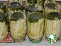 ������������ ������� "����������" �����������