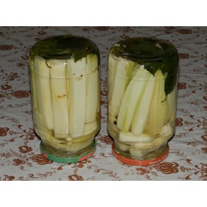 ������������ ������� "����������"