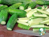 �����-������� ������ � �������� �����������