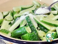 �����-������� ������ � �������� �����������