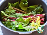 ���� �� ���������� ����� "������" �����������