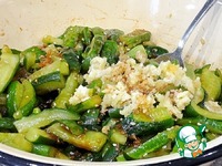 �����-������� ������ � �������� �����������