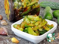 �����-������� ������ � �������� �����������