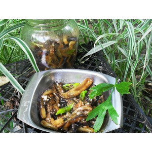 ��������� � �������� �����