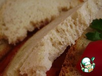 ���� ������-������� ��� ����������� �����������