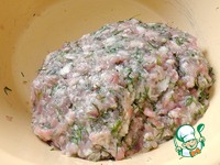 ������ �����������