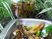 ��������� � �������� ����� �����������