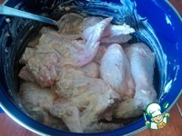 ������ � ��������-��������� �������� �����������