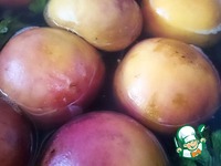 ���������� ����� � �����-�������� �������� �����������