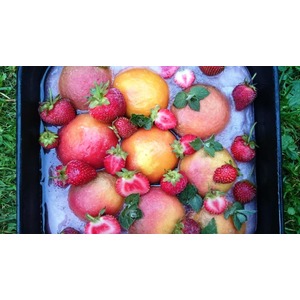 ���������� ����� � �����-�������� ��������