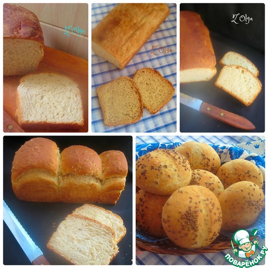 ���� ����� ������ ��� �� �������� ������� (84)