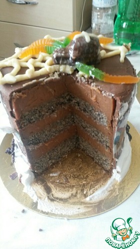 ������-��������� � �������