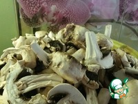 ����� � ����������� � ������������ �����������