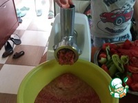 ����� � ����������� � ������������ �����������