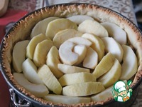 �������� ����� "�����������" �����������