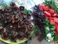 ���������� ���������� �����������