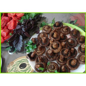 ���������� ����������