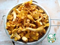 ������� � ������� �����������