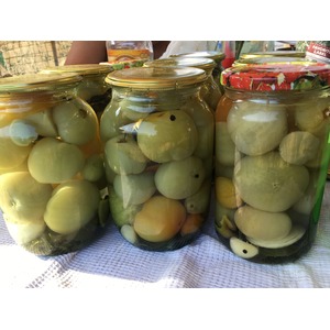 ������������ ������� ��������