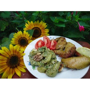 �����-����� � �������� ��������