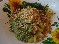 �����-����� � �������� �������� �����������