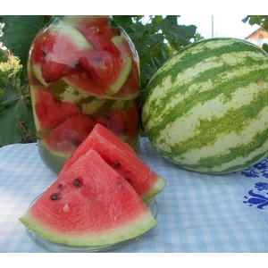 ������ ����������������