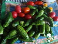 ��������-���������� ������� �����������