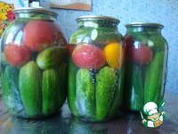 ��������-���������� ������� �����������