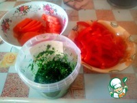 �������-��������� �����������