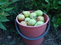 �������� �������� �������� � ���������� �����������