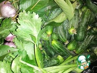 ������� ������ "������" �����������