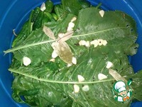 ������� ������ "������" �����������