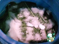 ������� ������ "������" �����������