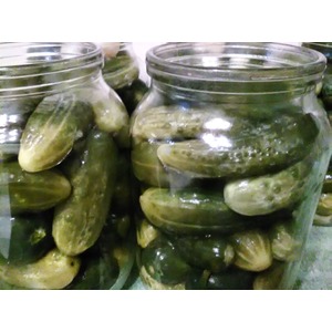 ������� ������ "������"