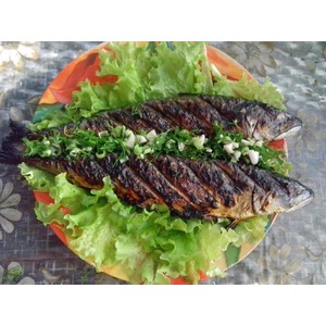 �������� ������