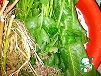 ������� ������ "������" �����������