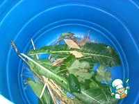 ������� ������ "������" �����������