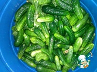 ������� ������ "������" �����������