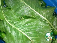 ������� ������ "������" �����������