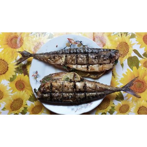 �������� �� �������