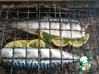 �������� �� ������� �����������