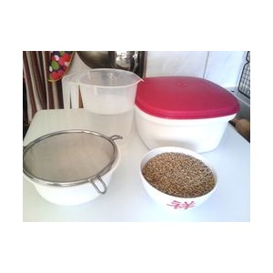 ������ �����