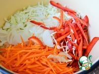 ����� "��������" �����������