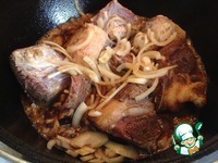 ������������� ���� �����������