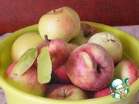 ������ �������� ���� �����������