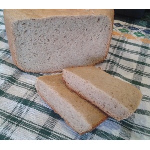 ���� ���������